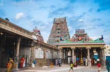 Best of Chennai: Guided Half Day City Tour with a local