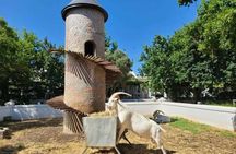 Full Day Wine Tour in Cape Winelands with Tastings