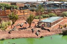 agadir crocoparc tickets with pick-up and return transfer All-Inclusive