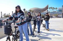 Best of Barcelona Walking EBike and Sailing Tour with Appetizer
