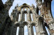 Private South Wales Tour with London Heathrow Pickup
