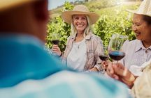 Valldemossa and Mallorcan Wine Tasting Small Group Tour