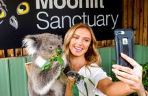 Phillip Island Penguin Parade & Wildlife Tour from Melbourne