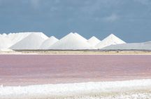 Private Bonaire Tour - All Highlights, Hidden Places, plus Lunch