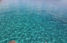 Full Day Sailing Tour