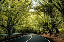 Kakheti Wine Cave Tasting & Sighnaghi Private Tour from Tbilisi