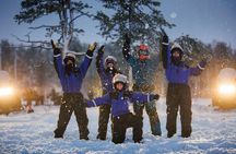 Snowmobile Safari into the Arctic Circle Forest