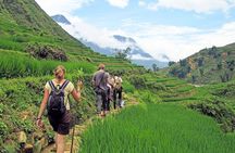 Sapa Trekking Cultural Tour with Cooking Class or Batik Workshop