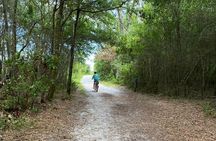 Electric Bike Tour Amelia Island & Big Talbot IS (Small Group)