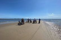 Electric Bike Tour Amelia Island & Big Talbot IS (Small Group)