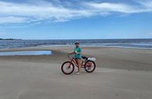 Electric Bike Tour Amelia Island & Big Talbot IS (Small Group)