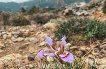 Karpathos Guided Hiking Tour Profitis Ilias Hike by Art and Walk