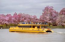 All-Day Water Taxi Pass & Hop-on Hop-off Bus Tour