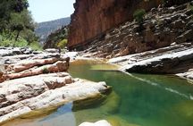 Paradise Valley & Desert Sand Dunes with Camel Ride/lunch tagine