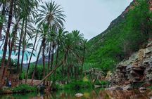 Paradise Valley & Desert Sand Dunes with Camel Ride/lunch