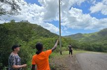 Half Day Private Antigua Island Tour