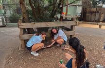 Private Blue Mountains Tour with Wildlife park Tickets Included