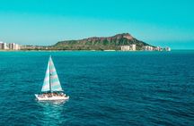 Snorkeling Adventure at Turtle Canyon