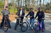 Chincoteague E-Bike Pony Tour