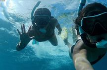 Sea Turtle Snorkel Tour