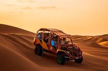Paracas and Huacachina Tour from Lima with hotel pickup included