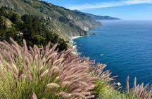 Big Sur McWay Falls opt 4 or 5 Hour Private Tour up to 12 ppl