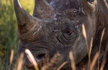 From Nairobi: 4 Days 3 Nights Masai Mara Lake Nakuru Safari