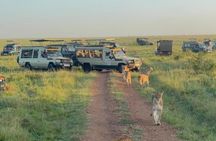 From Nairobi: 4 Days 3 Nights Masai Mara Lake Nakuru Safari