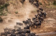 From Nairobi: 4 Days 3 Nights Masai Mara Lake Nakuru Safari