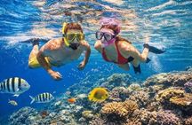 Tiran Island Snorkeling , Diving Cruise & Lunch - Sharm El Sheikh