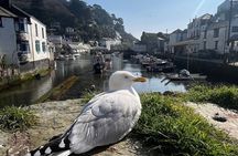 Fowey, Looe & Polperro Mining, Fishing & Smuggling Cornwall Tour