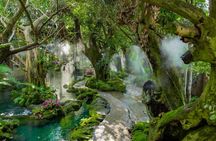 Chiang Mai Sticky Waterfall Dantewada and Banden Temple Tour 