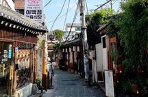 Tradition Meets Trendy Seoul: Palace, Ikseon-dong, Han River Tour