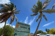 Beautiful Saona Island