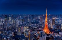 Tokyo Private Night Tour by Van English Chauffeur