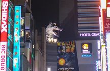 Tokyo Private Night Tour by Van English Chauffeur