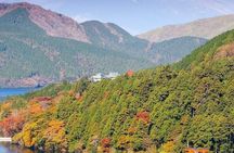 Hakone Tour Experience from Tokyo