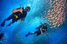 PADI Discover Scuba Diving in Phuket - 3 Dives (all included)