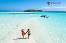4 Day Private Safari Zanzibar to Serengeti and Ngorongoro