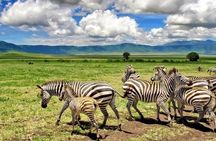 4 Day Private Safari Zanzibar to Serengeti and Ngorongoro