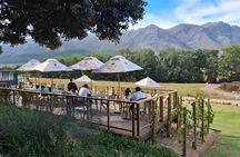 Winelands Day Tour Fairview and Franschhoek Estates
