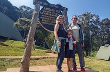 Kilimanjaro Day Hike