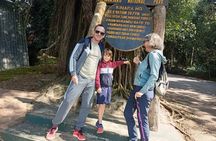 Kilimanjaro Day Hike