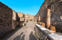 Pompeii and Vesuvius Skip the line Trip from Sorrento or Naples