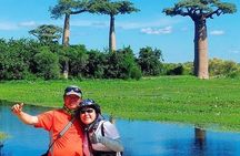 6 Day Madagascar Discovering Rainforest in Lemurs and Baobabs