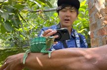 6 Day Madagascar Discovering Rainforest in Lemurs and Baobabs
