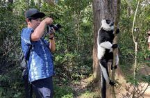 6 Day Madagascar Discovering Rainforest in Lemurs and Baobabs