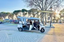 More Madrid in less time: Tour in Tuk Tuk Electric