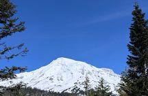 Seattle Mt. Rainer with Sprinter Van Tour