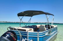 2 Hour (shared) Dolphin Tour Adventure to Shell Island